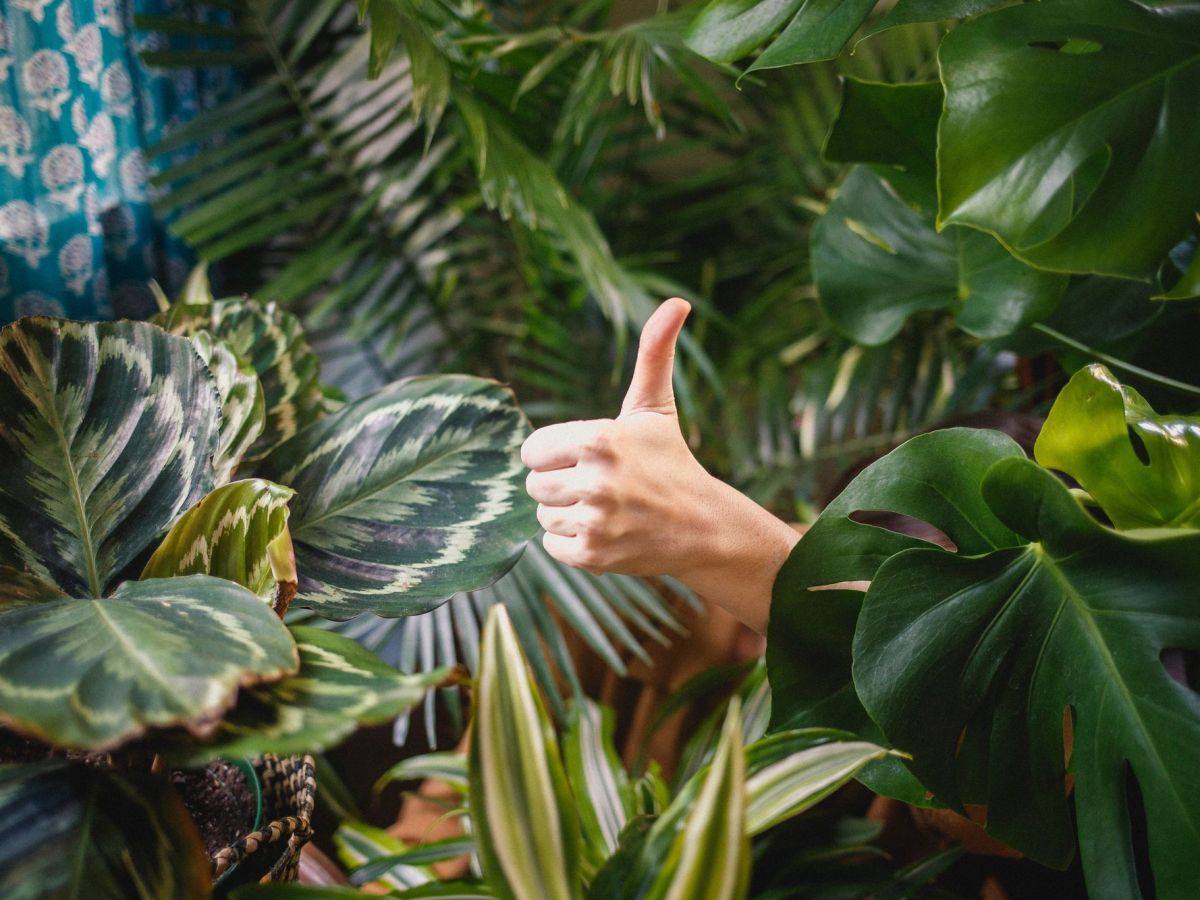 Start renting and help the&nbsp;planet