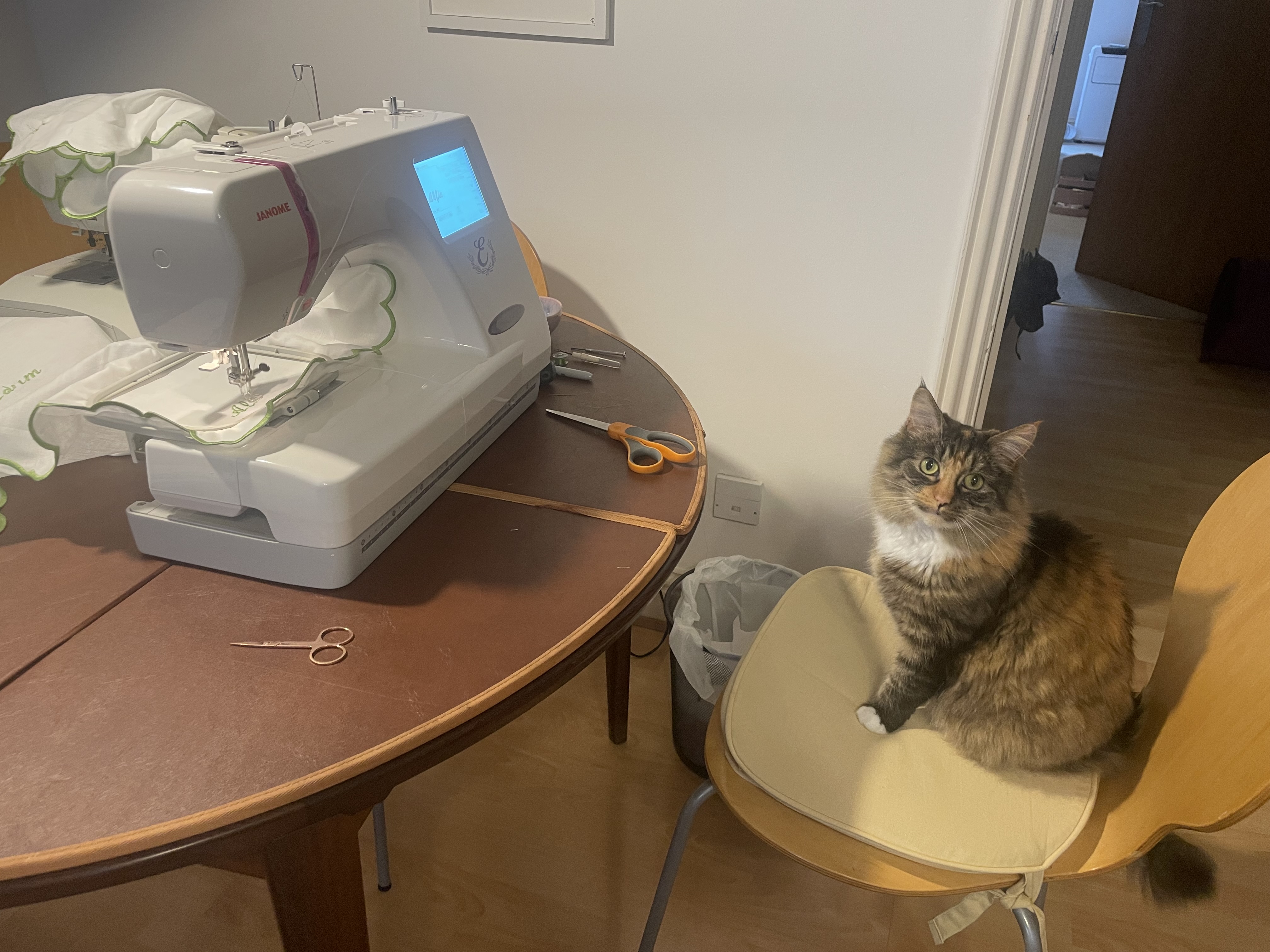 Marge the cat sitting beside a rented embroidery machine used for wedding DIY.