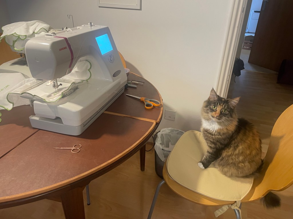 Marge the cat sitting beside a rented embroidery machine used for wedding DIY.